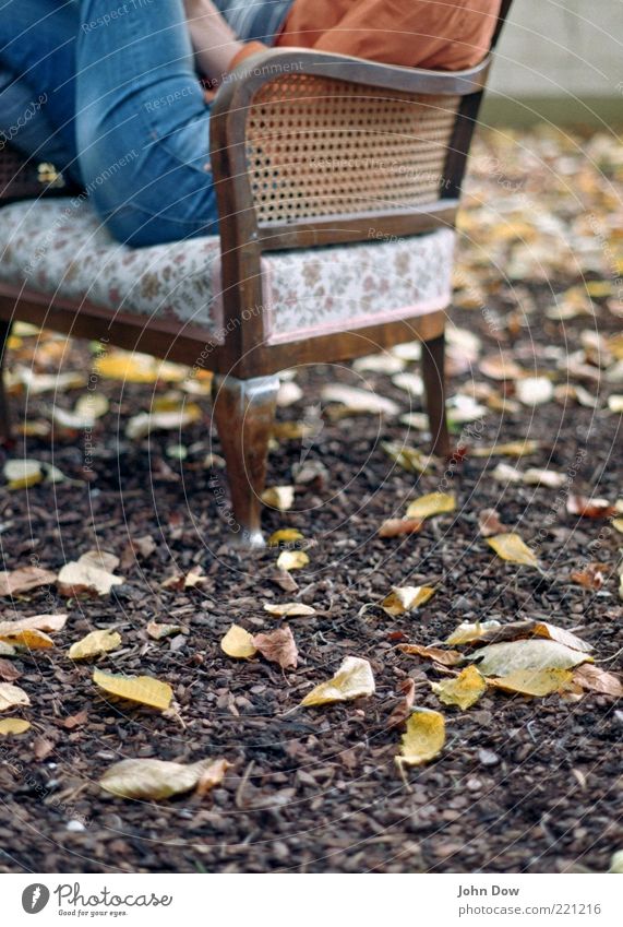 Herbstgeflüster II Freizeit & Hobby 1 Mensch Garten Jeanshose sitzen historisch Gelassenheit ruhig Zufriedenheit Idylle Sessel Antiquität Erholung lesen Blatt