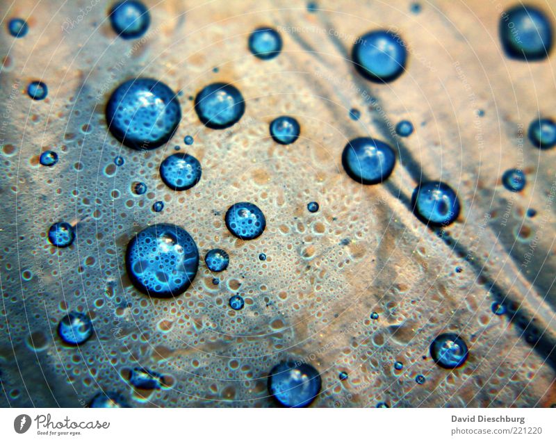Blue pearls Wasser Wassertropfen Regen blau Tropfen nass feucht rund Kreis Abdeckung Kunststoff hell-blau wetterfest Wetterschutz wasserdicht leuchten Farbfoto