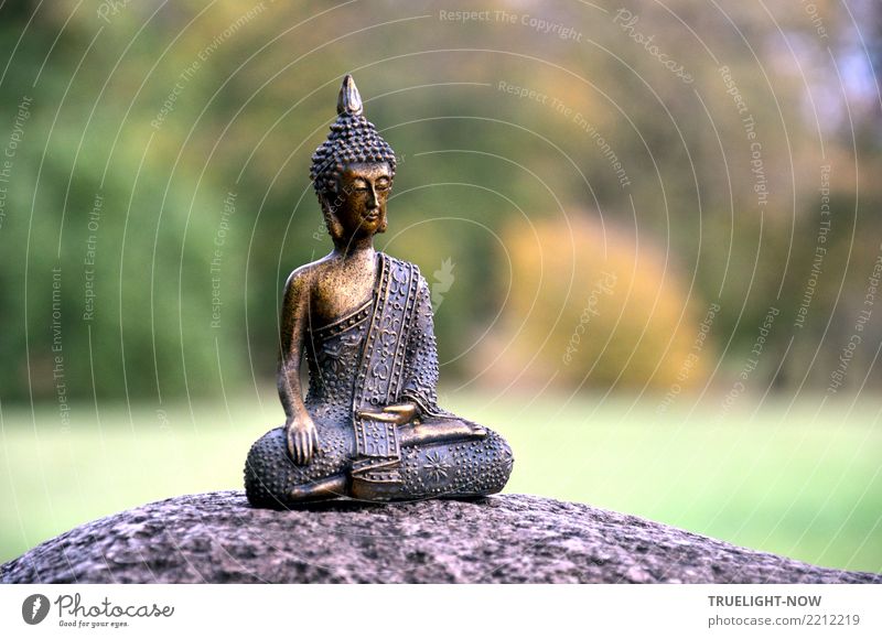 Goldener Buddha auf einem Stein im Park meditierend schön Gesundheit Gesundheitswesen Alternativmedizin Gesunde Ernährung Wellness Leben harmonisch