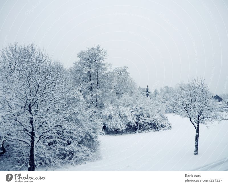 träume. erfrier'n. ruhig Winter Schnee Umwelt Landschaft Himmel Eis Frost Baum Sträucher Wiese Dorf Menschenleer Hütte hell kalt Klima Wandel & Veränderung