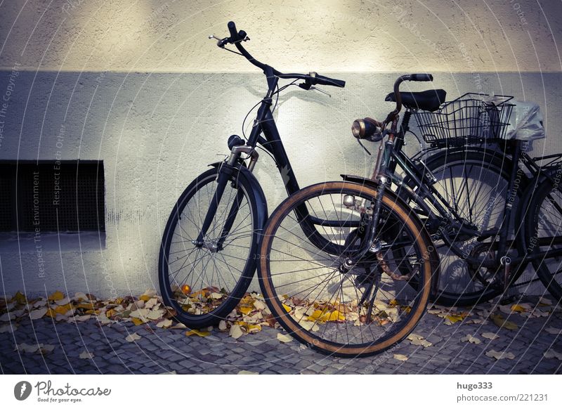 Berlin VIII Fahrrad Blatt Haus Bürgersteig Mauer Wand Verkehrsmittel Damenfahrrad stehen einfach 2 Korb Fahrradsattel schwarz Herbst Pedal parken anlehnen