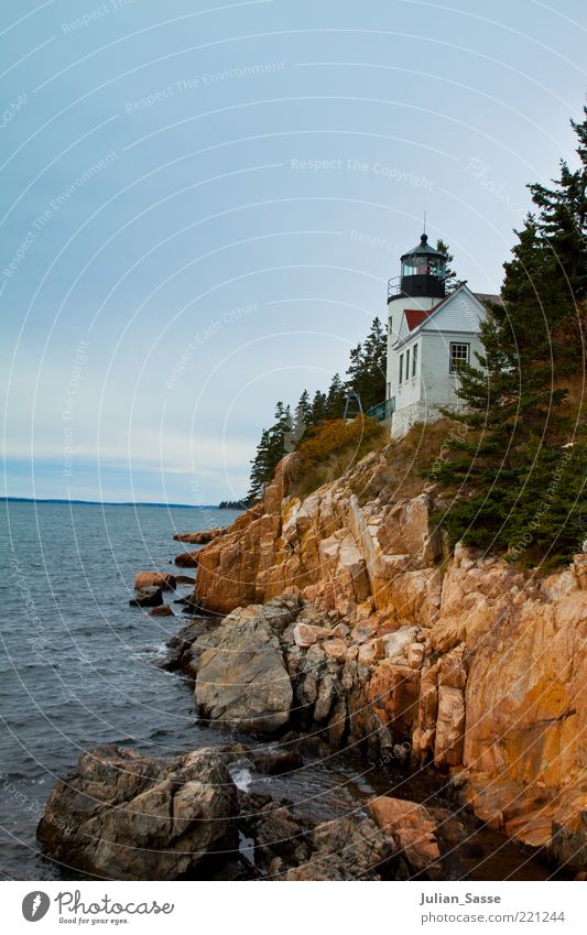 Lighthouse Umwelt Natur Landschaft Pflanze Urelemente Erde Wasser Himmel Wolken Herbst Wind Felsen Wellen Bucht Riff Insel ästhetisch Maine Bar Harbor