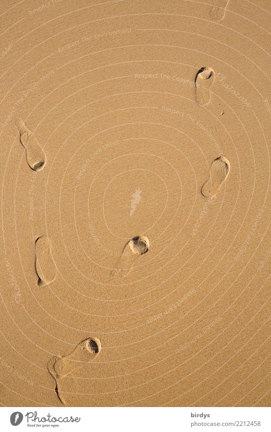 Spuren im Sand Schönes Wetter Strand Fußspur gehen ästhetisch einfach positiv braun gelb Bewegung Partnerschaft Einsamkeit Entschlossenheit Identität Trennung