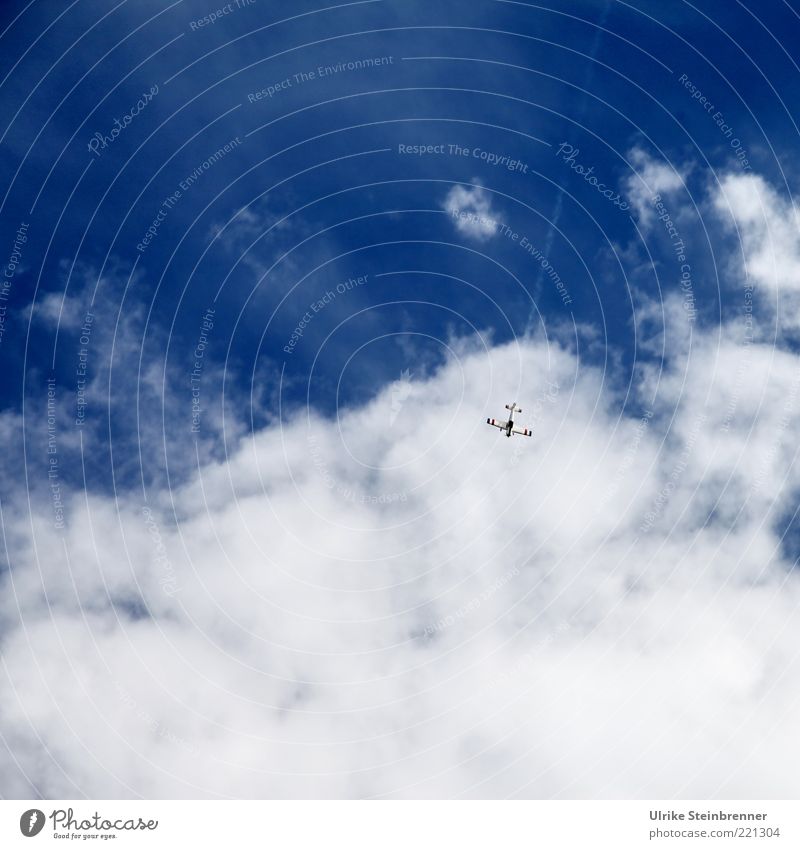 Modellflugzeug im Sturzflug Freizeit & Hobby Spielen Modellbau Luft Himmel Wolken Luftverkehr Flugzeug fliegen blau weiß abwärts Risiko weich Wattewölkchen