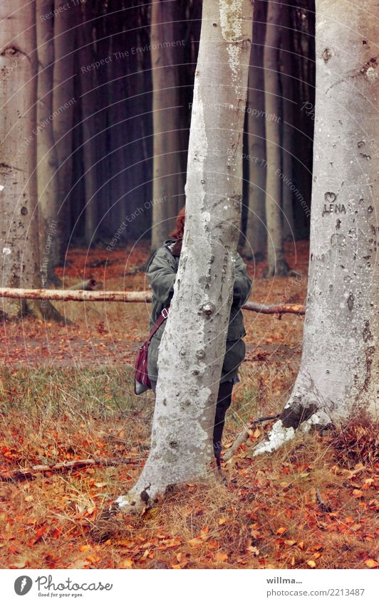 Versteckte Fette versteckte Fette Übergewicht Mensch verstecken Baumstamm Wald dick lustig Humor Erwachsene witzig Gespensterwald Nienhagen Naturschutzgebiet