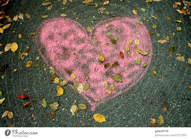 Herbstherz Umwelt Straße Liebe Herz Bürgersteig Asphalt rosa grau gelb grün Straßenkunst Kreativität Gefühle Graz Zuneigung Menschenleer Gemälde herzförmig