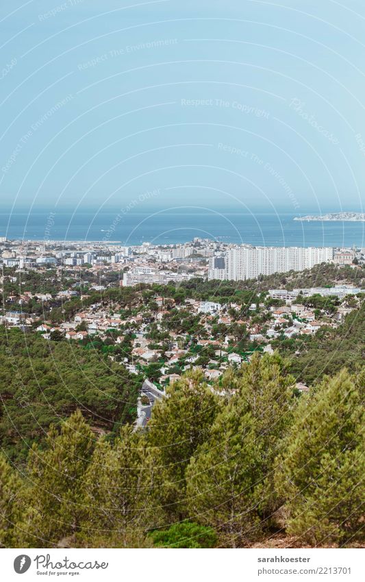 Panorama von Marseille, Frankreich Natur Landschaft Pflanze Himmel Wolkenloser Himmel Schönes Wetter Baum Wald Hügel Felsen Europa Kleinstadt Stadt bevölkert