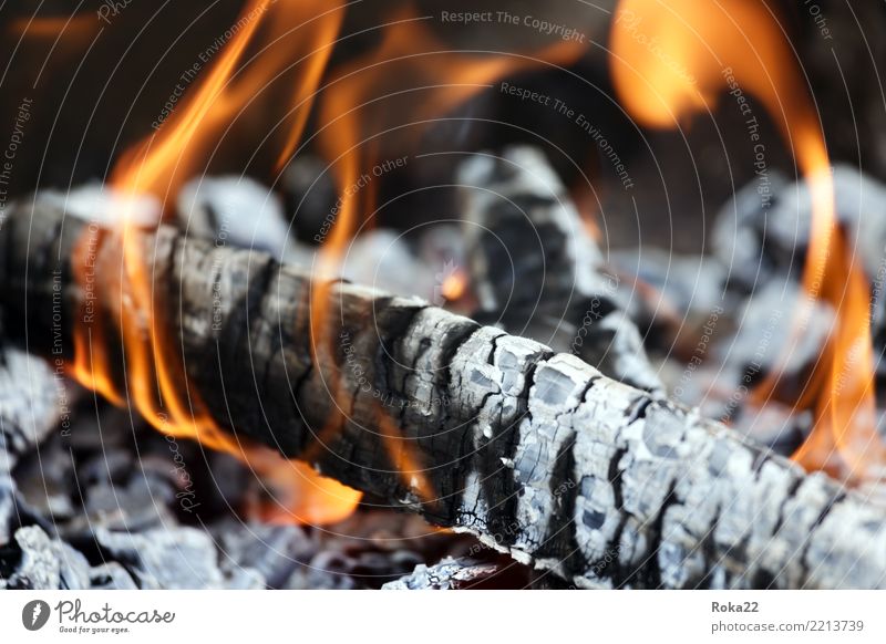 Nahaufnahme des Holzes brennt auf Feuer Tourismus Freiheit Tapete Natur Wärme Herd & Backofen Grill heiß natürlich schwarz gefährlich Ewigkeit Hintergrund