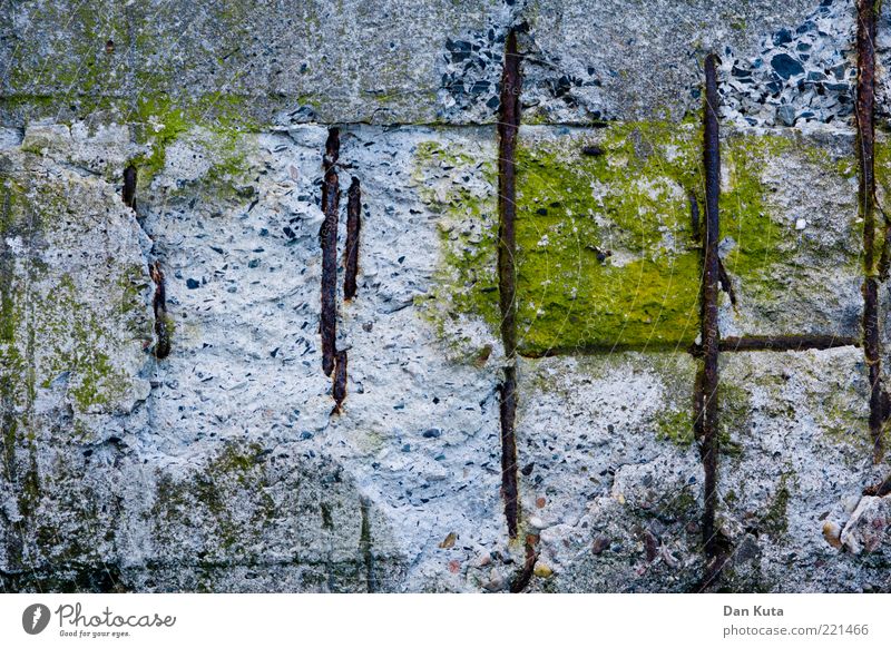 Betonierte Sumpflandschaft II Wind Moos bizarr einzigartig Betonwand Zerstörung Phantasie Kreativität Farbfoto Gedeckte Farben Außenaufnahme Detailaufnahme