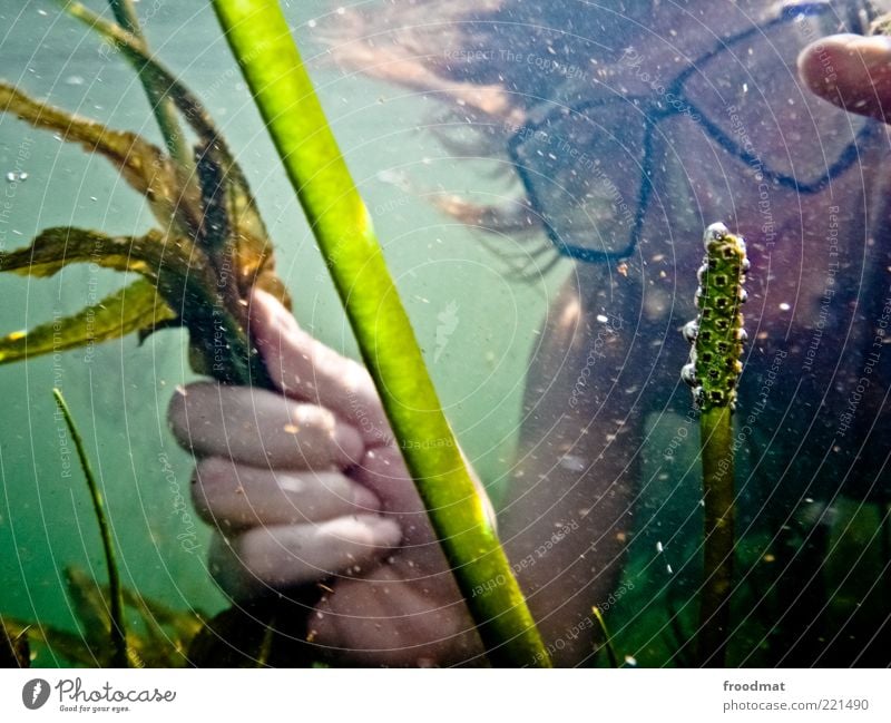 aquarium Freude Zufriedenheit ruhig Schwimmen & Baden Sommer Sommerurlaub Mensch Junger Mann Jugendliche Frau Erwachsene Umwelt Natur Pflanze See Brille tauchen