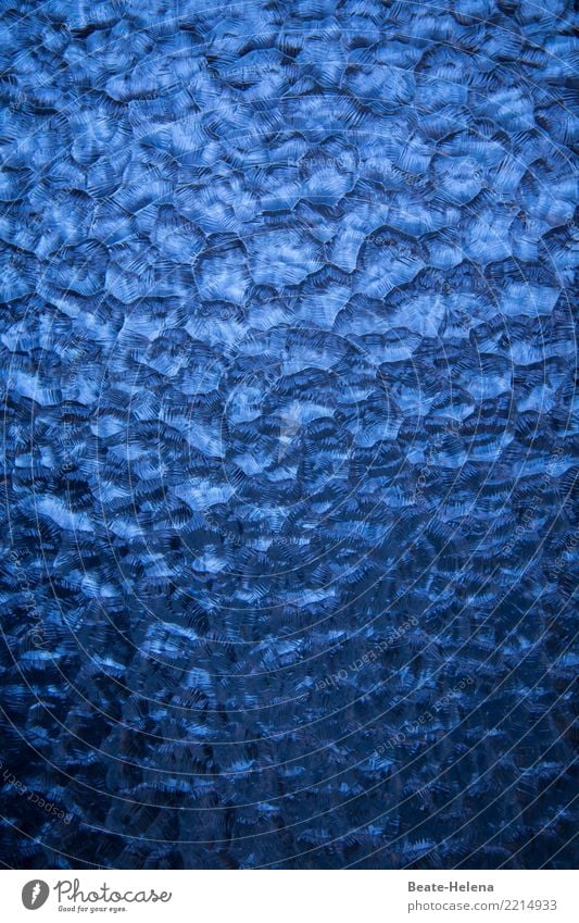 Textur | out of the blue Dekoration & Verzierung Himmel Fenster Tür Glas Ornament Häusliches Leben ästhetisch außergewöhnlich exotisch glänzend kalt maritim