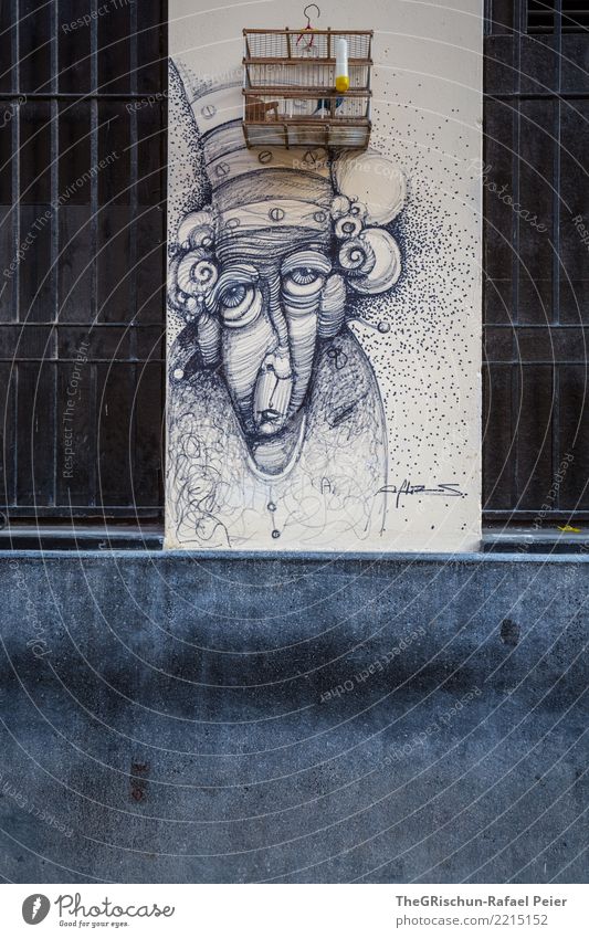 Strassenkunst Kunst Künstler Maler Vogel blau grau schwarz silber weiß Wand malen Gemälde Kuba Vogelkäfig gefangen Weiblicher Senior Mauer bemalt ästhetisch