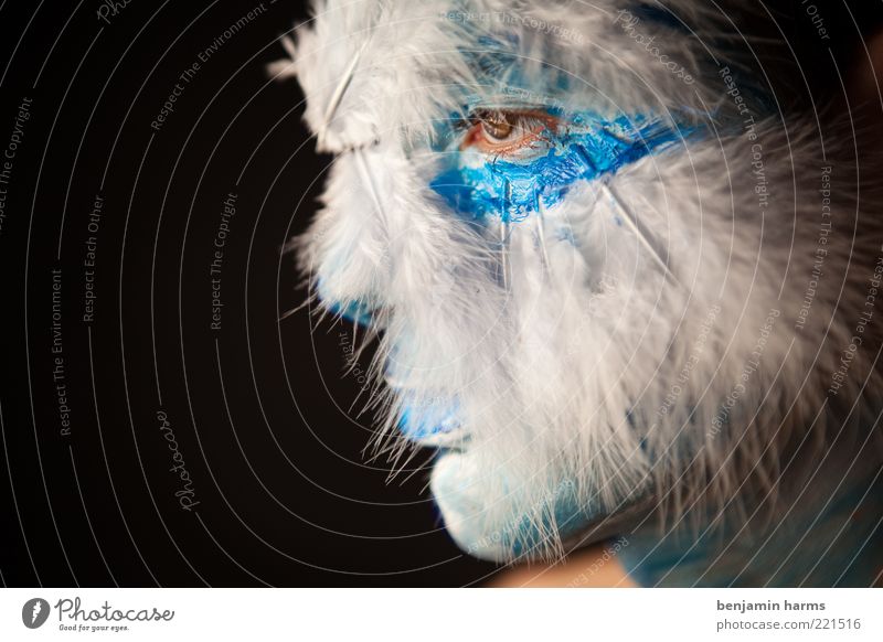Traumwelten #1 exotisch maskulin Kopf Mensch außergewöhnlich fantastisch einzigartig elegant Farbe Idee Kunst Farbfoto Innenaufnahme Experiment Porträt Wegsehen