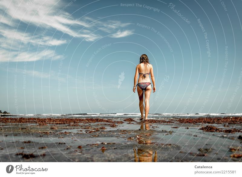 Froschperspektive | Frau geht ins Meer Natur Strand gehen Bikini Sand Brandung Wellen nass Küste Horizont Sandstrand Himmel Wasser Ferien & Urlaub & Reisen