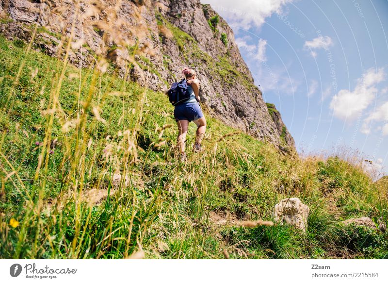 Aufstieg in oberbayerischen Alpen Berge u. Gebirge wandern Junge Frau Jugendliche 30-45 Jahre Erwachsene Natur Landschaft Sommer Schönes Wetter Sträucher