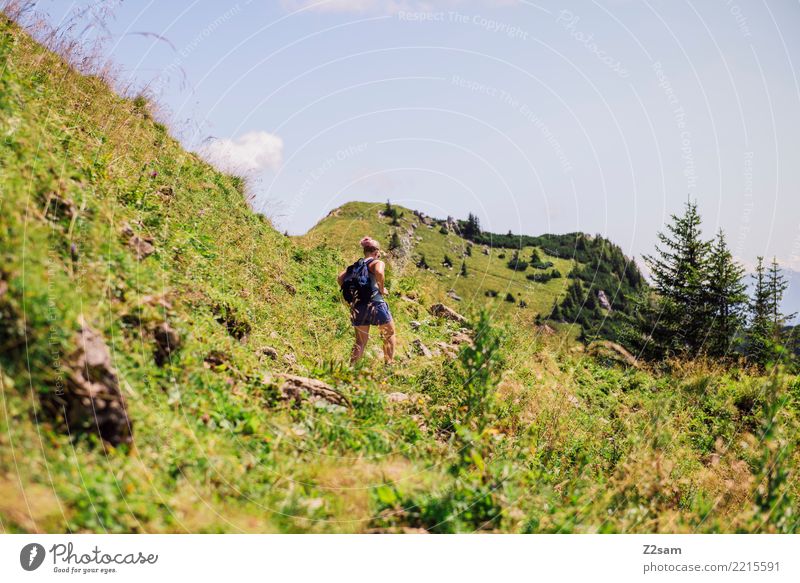 Aufstieg auf die Rotwand in Oberbayern wandern Junge Frau Jugendliche 18-30 Jahre Erwachsene Landschaft Schönes Wetter Wiese Alpen Berge u. Gebirge Rucksack