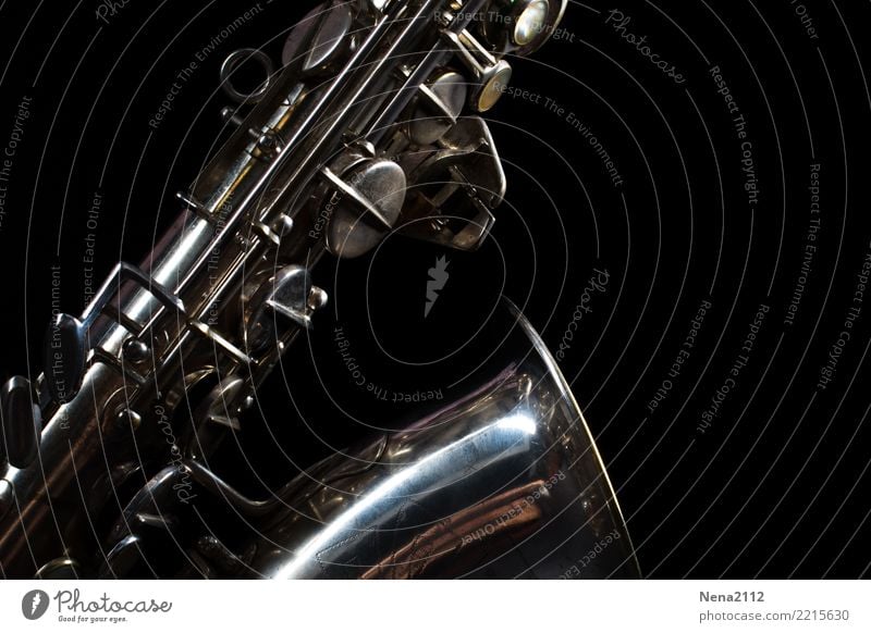 Saxophon 02 Kunst Musik Musik hören Konzert Open Air Bühne Oper Band Musiker Orchester Gefühle Stimmung Freude Lebensfreude Vorfreude Begeisterung fleißig