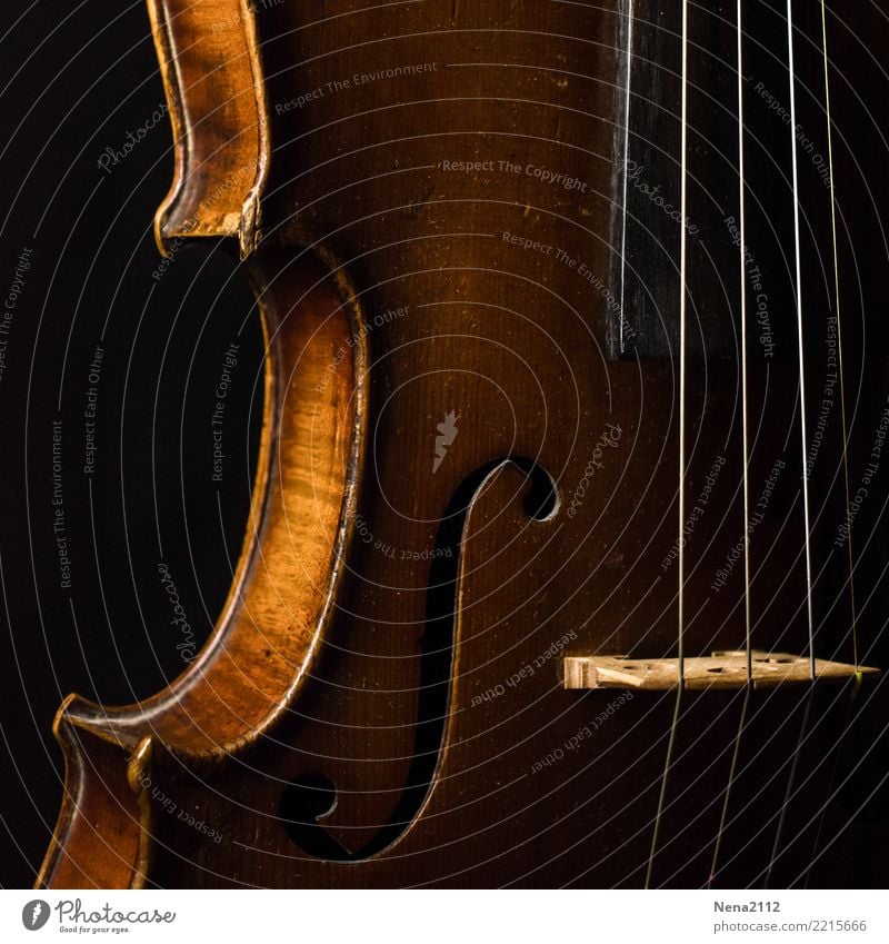 Geige - Q1 Kunst Musik Musik hören Konzert Open Air Bühne Musiker Orchester ästhetisch Holz Musikinstrument Saiteninstrumente Low Key klassisch