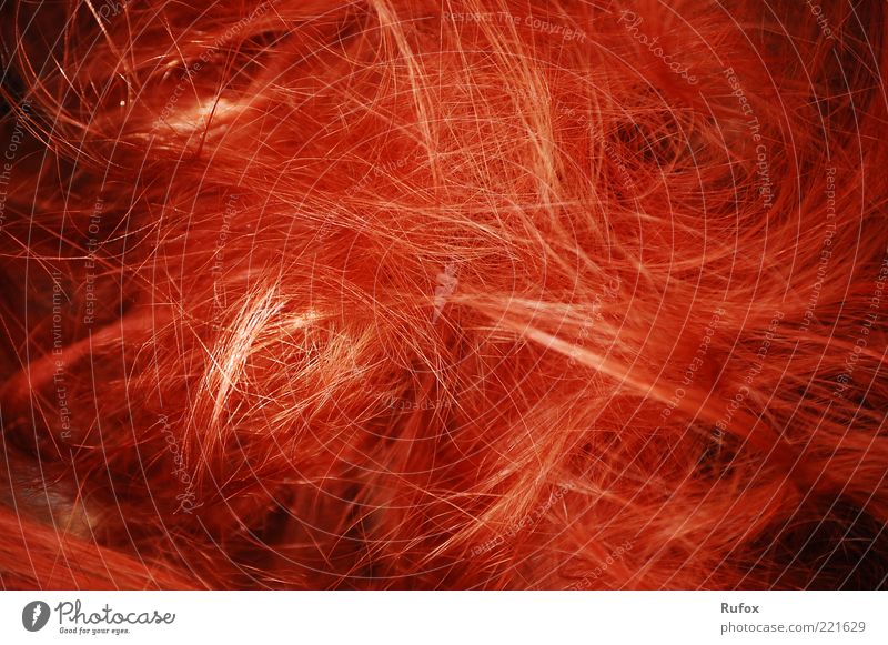 Roter "Kopfsalat" á la carte Haare & Frisuren rothaarig langhaarig Perücke Linie dünn exotisch frei einzigartig skurril chaotisch Farbfoto Detailaufnahme