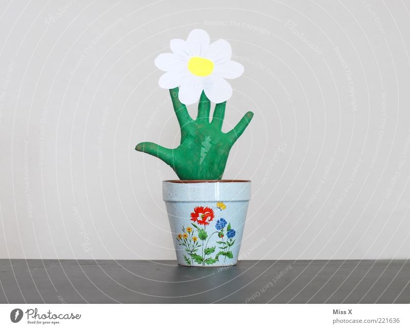 Mehr als ein grüner Daumen Finger Pflanze Blume Blatt Blüte Topfpflanze Blühend Wachstum außergewöhnlich lustig positiv Kreativität Blumentopf bemalt