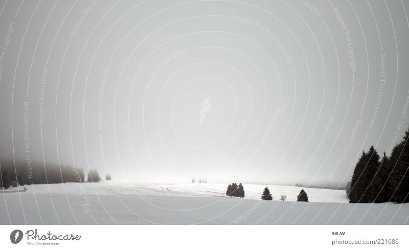 Märchenlandschaft Landschaft Himmel Wolken Winter Nebel Schnee Baum Feld Wald Hügel Berge u. Gebirge Thüringer Wald entdecken leuchten dunkel Unendlichkeit kalt
