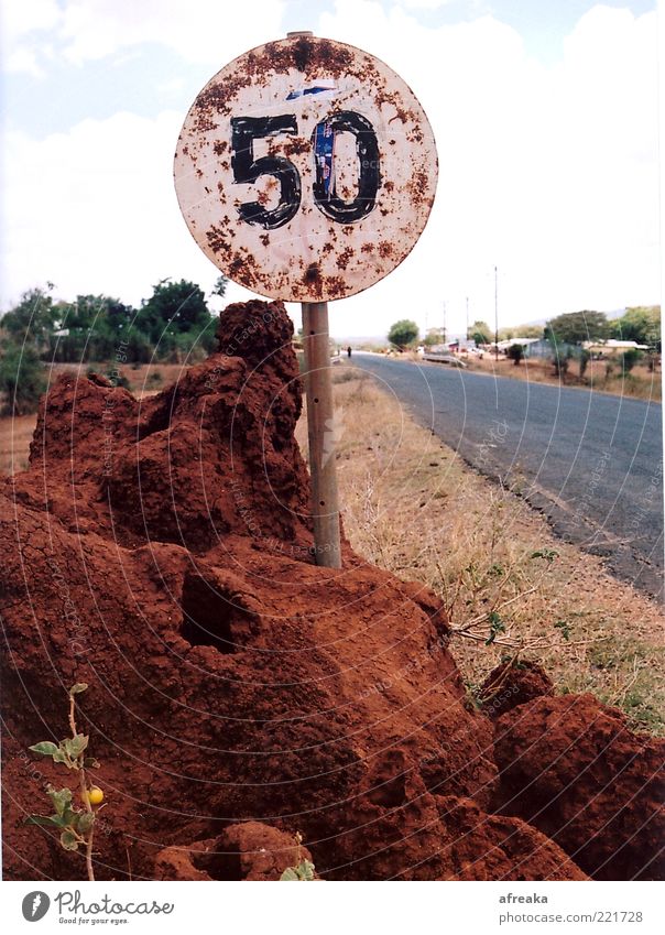 On the Road. Wildtier Termitenhügel alt braun Langeweile Einsamkeit Unendlichkeit Vergangenheit Vergänglichkeit Tansania Straße Ferne Schilder & Markierungen