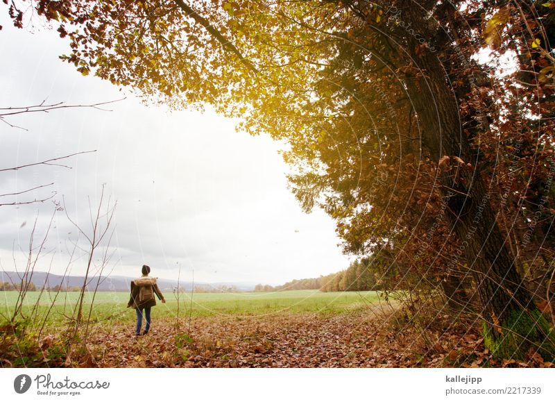 Mädchen in der Natur beim wandern Mensch feminin Kind Jugendliche 1 13-18 Jahre Umwelt Landschaft Wolken Herbst Baum Mantel Mütze stehen Rucksack Fußweg
