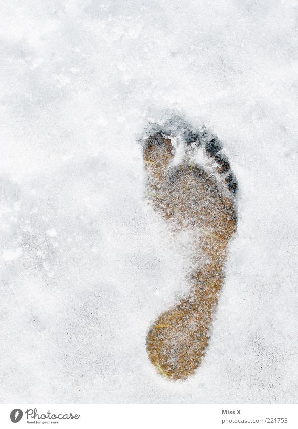 de voetafdruk Winter Eis Frost Schnee kalt weiß frieren Barfuß Fußspur Abdruck Farbfoto Außenaufnahme Menschenleer Vogelperspektive Schneespur Textfreiraum oben