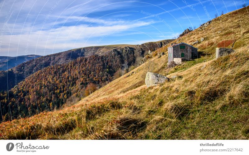Herbstfarben auf französisch Ferien & Urlaub & Reisen Berge u. Gebirge wandern Klettern Bergsteigen Fahrradfahren Natur Landschaft Himmel Wolken Schönes Wetter