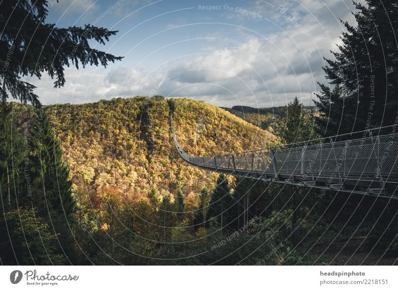 Geierlay Hängebrücke im Herbst Freizeit & Hobby Ferien & Urlaub & Reisen Tourismus Ausflug Abenteuer Freiheit Sightseeing Expedition Camping wandern Natur