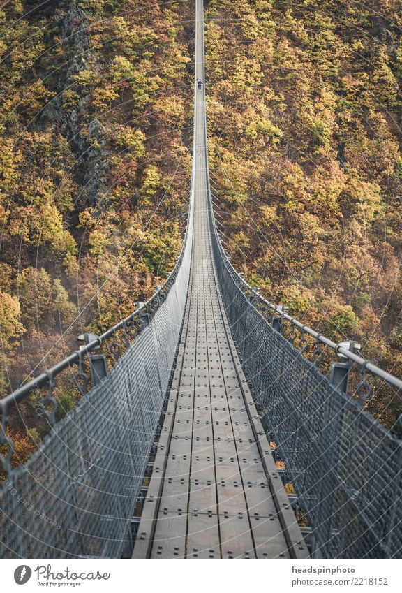 Geierlay Hängebrücke im Herbst Ferien & Urlaub & Reisen Ausflug wandern Natur Landschaft Baum Wald Hügel Berge u. Gebirge Mörsdorf Brücke Sehenswürdigkeit