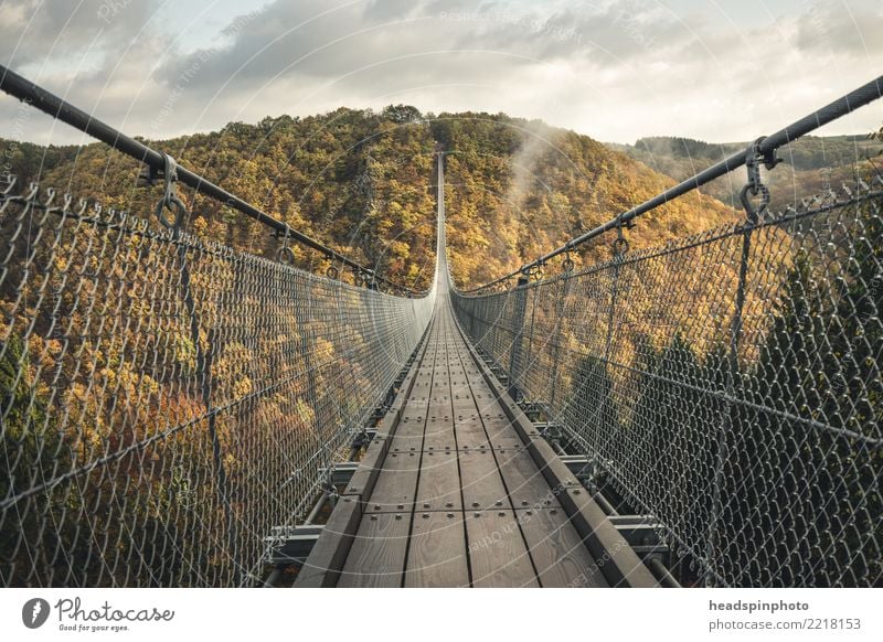 Geierlay Hängebrücke im Herbst Ferien & Urlaub & Reisen Tourismus Ausflug Abenteuer Freiheit Expedition wandern Natur Landschaft Nebel Wald Hügel