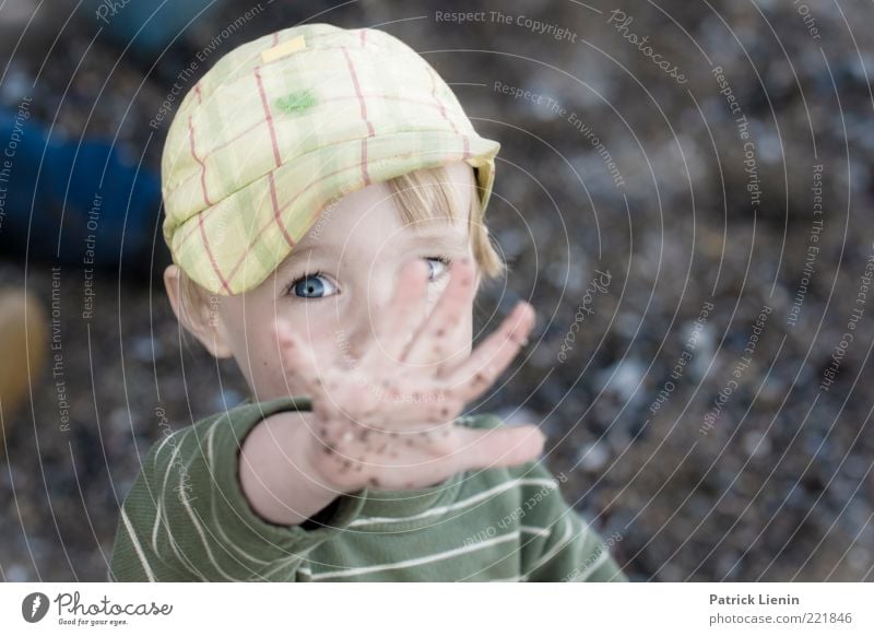 Immer diese Paparazzi Mensch maskulin Kind Kleinkind Junge Kopf Auge 1 3-8 Jahre Kindheit Umwelt Natur Urelemente beobachten leuchten Blick Spielen Coolness