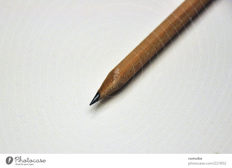 Bleistift Schreibwaren Holz braun Schreibstift Spitze angespitzt Farbfoto Innenaufnahme Textfreiraum links Hintergrund neutral Schatten Vogelperspektive
