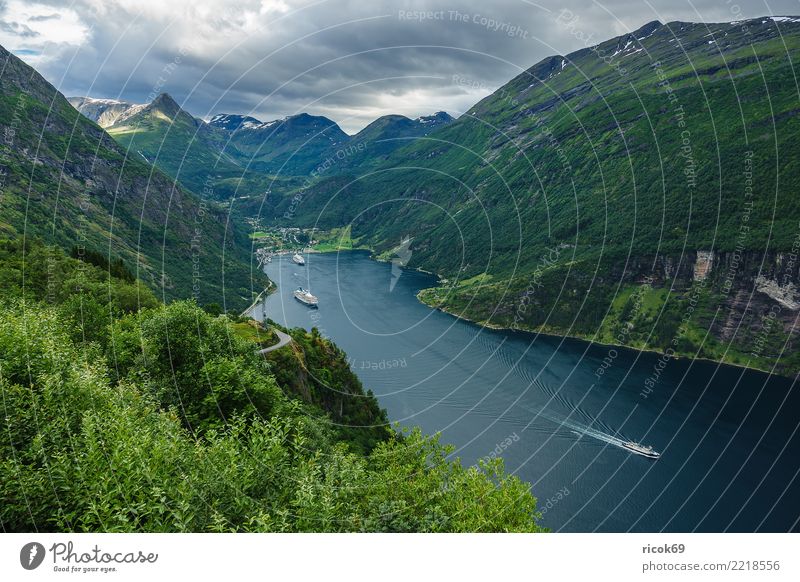 Blick auf den Geirangerfjord in Norwegen Erholung Ferien & Urlaub & Reisen Tourismus Kreuzfahrt Berge u. Gebirge Natur Landschaft Wasser Wolken Baum Felsen