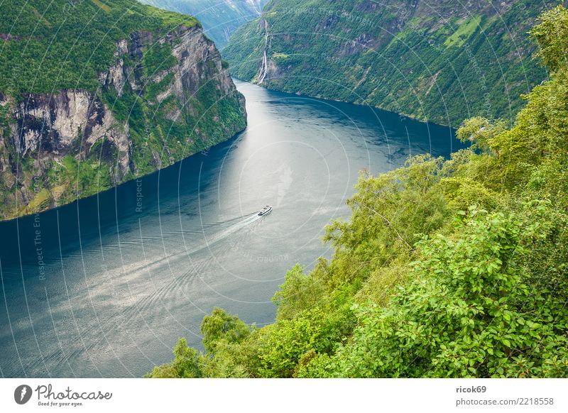 Blick auf den Geirangerfjord in Norwegen Erholung Ferien & Urlaub & Reisen Tourismus Kreuzfahrt Berge u. Gebirge Natur Landschaft Wasser Baum Felsen Fjord