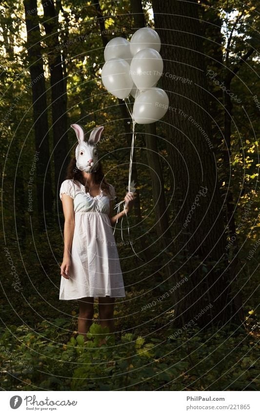 Follow the white rabbit exotisch Gesicht Karneval Halloween Mensch feminin Junge Frau Jugendliche Erwachsene 1 Natur Baum Wald Kleid Maske Hase & Kaninchen