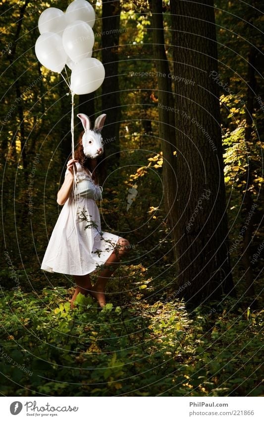 Follow the white rabbit II Feste & Feiern Karneval feminin Junge Frau Jugendliche 1 Mensch Theaterschauspiel Schauspieler Umwelt Natur Wald Kleid Maske
