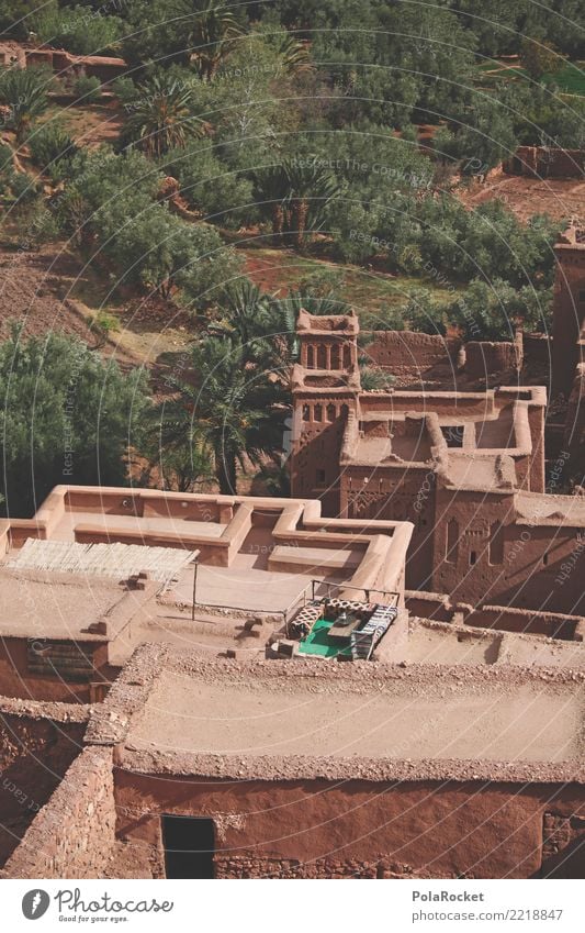 #A# Arabic Terrace Haus Mauer Wand Terrasse ästhetisch Arabien Naher und Mittlerer Osten Orientteppich Orientalische Küche Weltkulturerbe Marokko Farbfoto