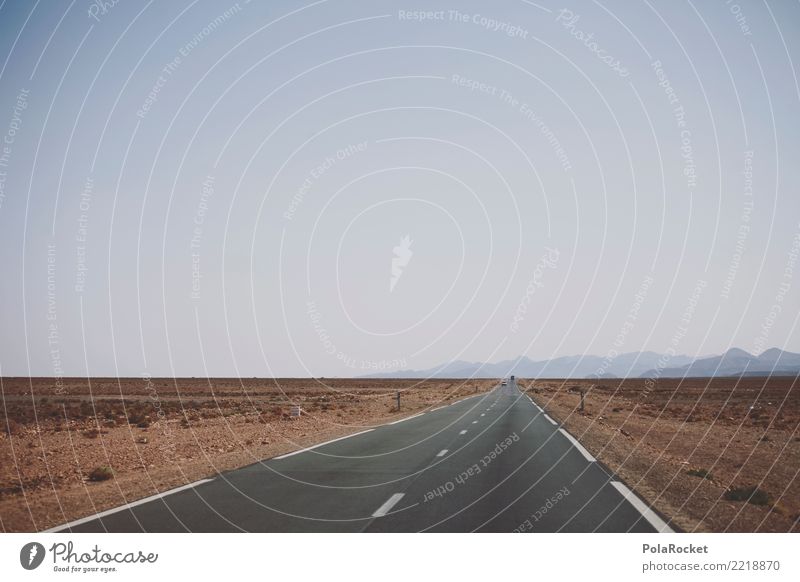 #A# Roadtrip Landschaft ästhetisch Wüste Wüstenpiste Wüstenpflanze Straße Asphalt Autobahn roadtrip Roadmovie Marokko Farbfoto mehrfarbig Außenaufnahme