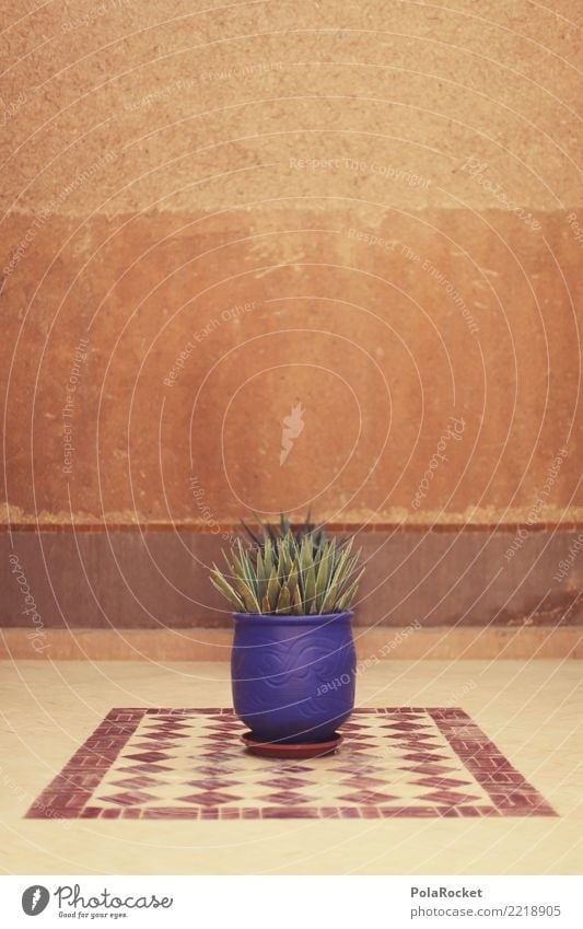 #A# Arabische Topfpflanze Kunst ästhetisch Arabien Naher und Mittlerer Osten Marokko Marrakesch blau Zimmerpflanze Farbfoto Gedeckte Farben Außenaufnahme