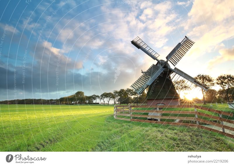 charmanter niederländischer Windmühlen-ats-Sonnenaufgang Natur Landschaft Himmel Wolken Sonnenuntergang Sonnenlicht Sommer Schönes Wetter Gras Wiese Gebäude