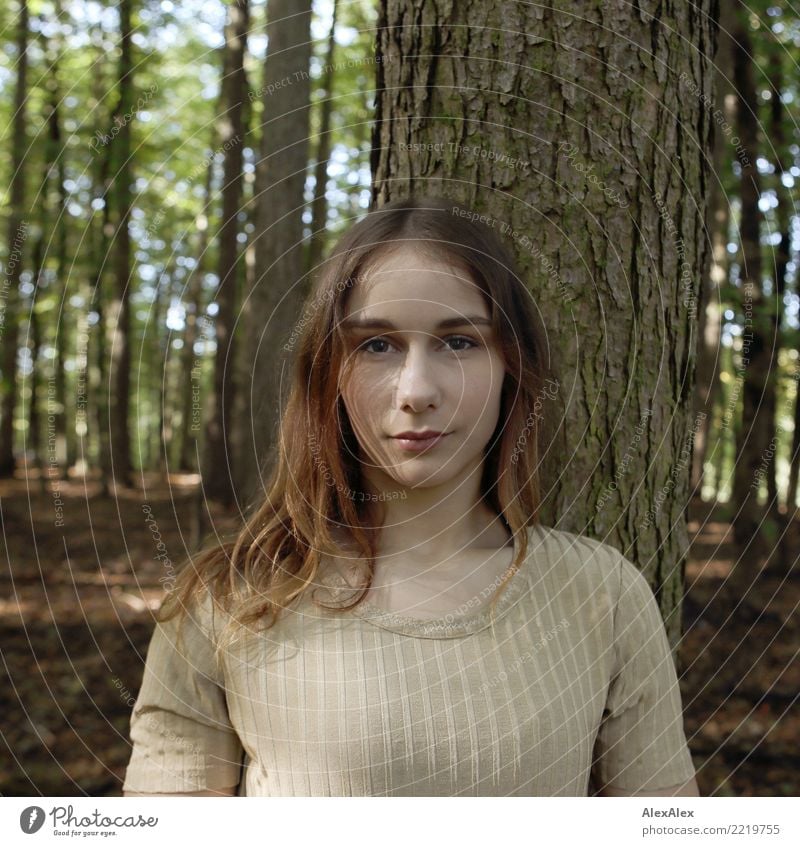 Portrait einer jungen, schlanken Frau im Wald schön Leben Junge Frau Jugendliche Gesicht 18-30 Jahre Erwachsene Natur Schönes Wetter Baum Top brünett langhaarig