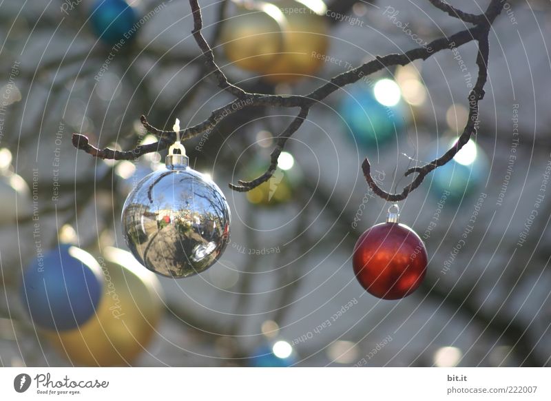 Wieder nicht... Feste & Feiern Winter glänzend gold silber Tradition Weihnachten & Advent Weihnachtsbaum Weihnachtsdekoration Dekoration & Verzierung Kitsch