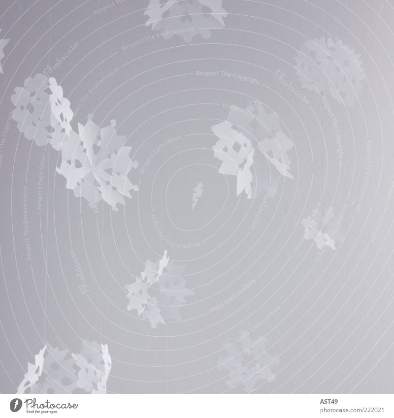 Papier Schneeflocken Stil Design ruhig Winter Wetter Eis Frost Schneefall fallen frieren ästhetisch kalt schön Dekoration & Verzierung Hintergrundbild