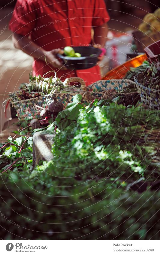 #A# Wochenmarkt Kunst ästhetisch Markt Markttag Auswahl grün Marokko Marrakesch Petersilie Farbfoto mehrfarbig Außenaufnahme Nahaufnahme Experiment abstrakt