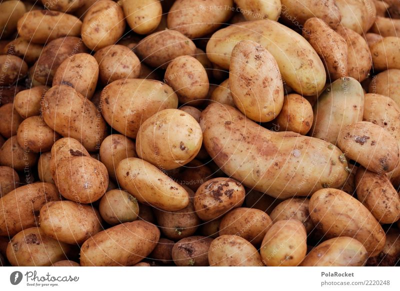 #A# Kartoffeln Lebensmittel Ernährung ästhetisch viele Kartoffelstärke Kartoffelschale Kartoffelernte Erde Farbfoto mehrfarbig Außenaufnahme Detailaufnahme