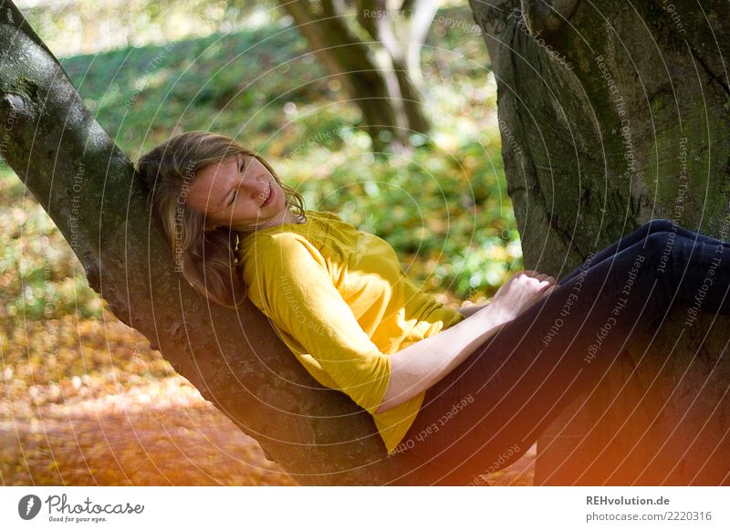 Junge Frau sitzt in einem Baum Erwachsene 18-30 Jahre Jugendliche Umwelt Natur Herbst Schönes Wetter Mensch Freizeit & Hobby Sonnenlicht Tag Außenaufnahme