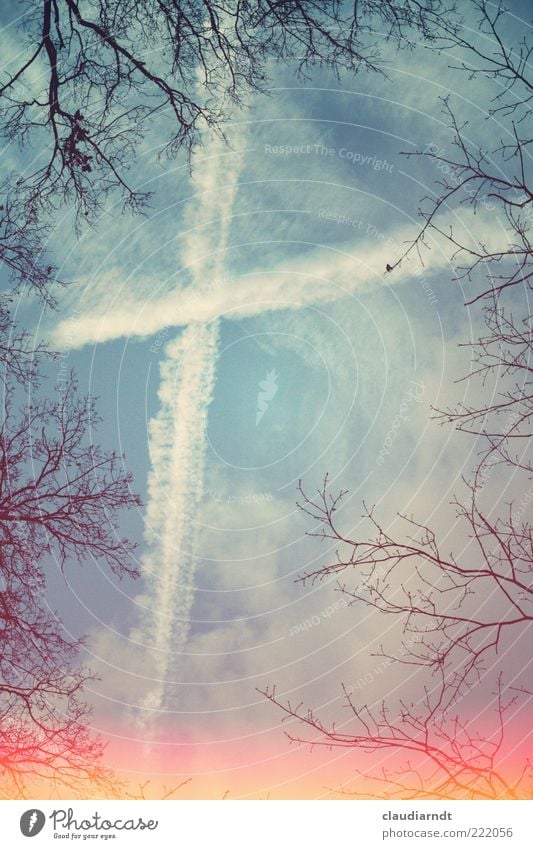 + Natur Himmel Wolken Winter Baum Zeichen Kreuz Linie außergewöhnlich Hoffnung Glaube Traurigkeit Gott Kondensstreifen Zweig Rahmen Himmel (Jenseits)