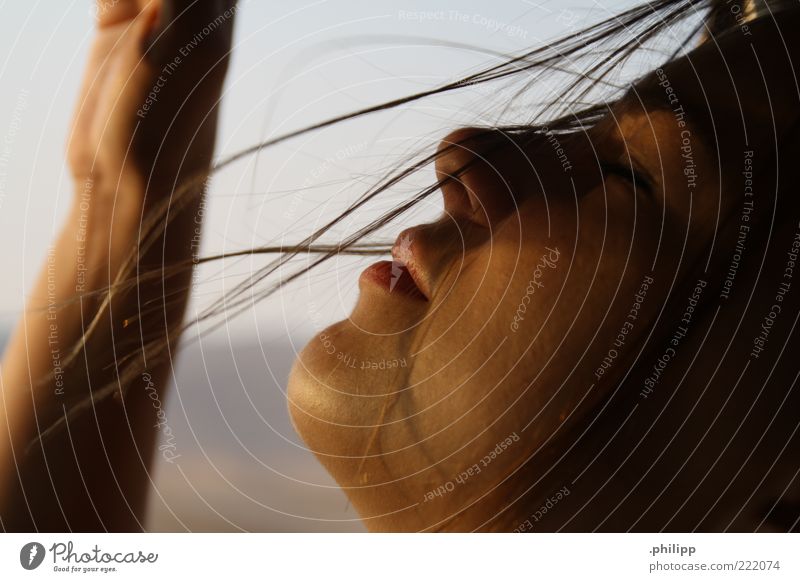 verweht. Mensch Junge Frau Jugendliche Haut Gesicht Schönes Wetter Wind genießen Farbfoto Nahaufnahme Tag Profil geschlossene Augen Windböe Haarsträhne